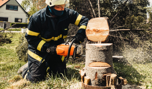 tree-removal.png