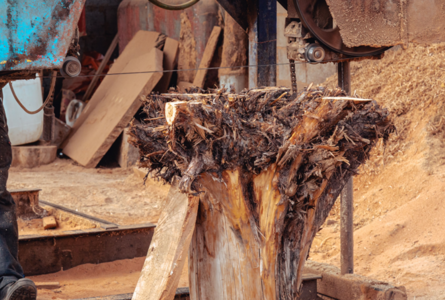 stump-grinding.png