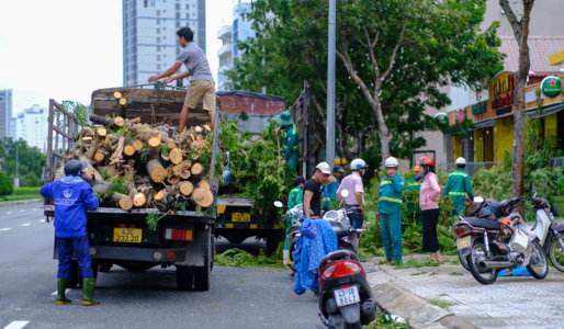 emergency-tree-services.jpg